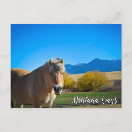 Roter Blauer Himmel und Montana Postkarte