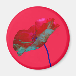Roter Blaumohn auf hellrosa Magnet