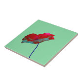 Roter Blaumohn auf Smaragdgrün Fliese (Seite)