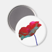 Roter Blaumohn auf Weiß Magnet (Vorderseite/Rückseite)