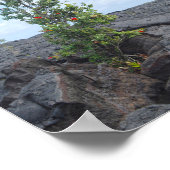 Roter blühender Ohia-Baum Wachsen auf dem Feld von Poster (Ecke)