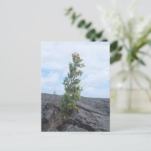 Roter blühender Ohia-Baum Wachsen auf dem Feld von Postkarte (Stehend Vorderseite)