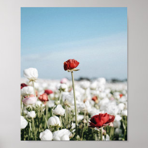 Roter Blumenaufdruck, Value Poster Paper (Halbglan