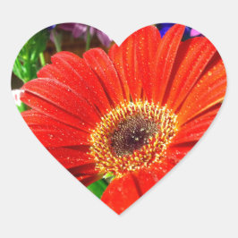 Roter Blumenkohl Herz-Aufkleber