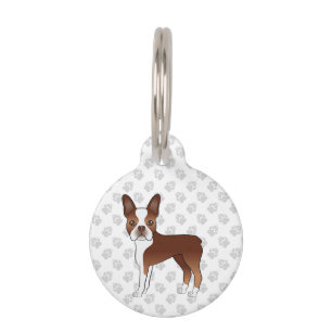 Roter Boston Terrier Cartoon-Hund mit Infos zum Ha Haustiermarke