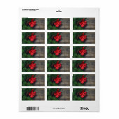 Roter Bow, Kiefernzapfen, Holztextur Weihnachten Adressaufkleber (Vorne)