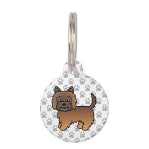 Roter Brindle Cairn Terrier Süßer Hund & Infos zum Haustiermarke