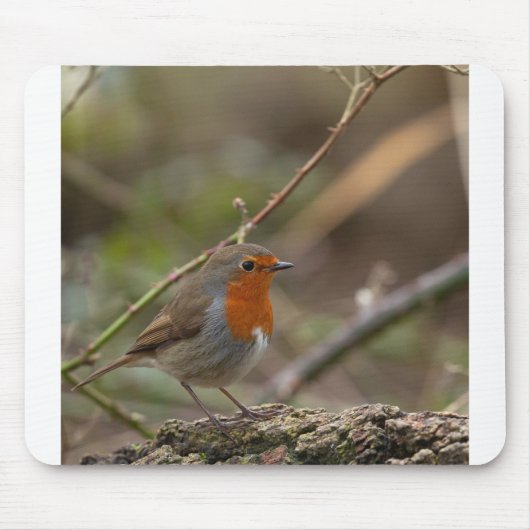 Roter Brustvogel Mousepad (Vorne)