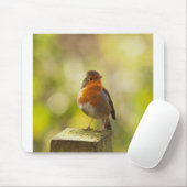 Roter Brustvogel Mousepad (Mit Mouse)