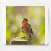 Roter Brustvogel Mousepad (Vorne)