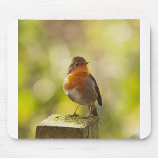 Roter Brustvogel Mousepad (Vorne)
