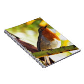 Roter Brustvogel Robins Notizblock (Rechte Seite)