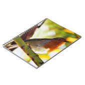 Roter Brustvogel Robins Notizblock (Linke Seite)