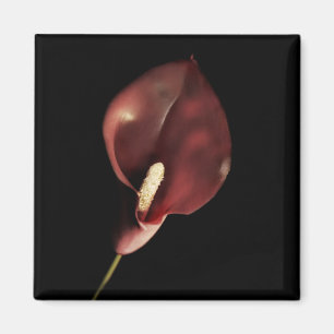 Roter Calla - Magnet