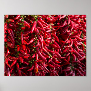 Roter Chili in der Stadt Kalocsa Poster