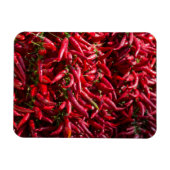 Roter Chili in Kalocsa Magnet (Horizontal)