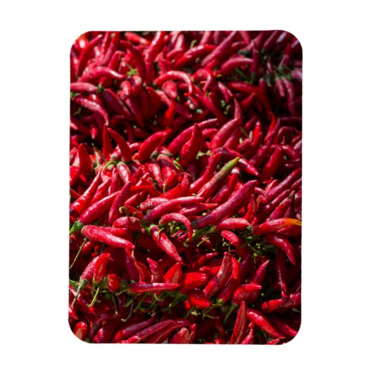 Roter Chili in Kalocsa Magnet (Vertikal)