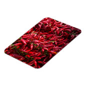 Roter Chili in Kalocsa Magnet (Linke Seite)