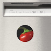 Roter Chili Magnet (In Situ (Geschirrspüler))