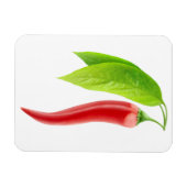 Roter Chili Magnet (Horizontal)