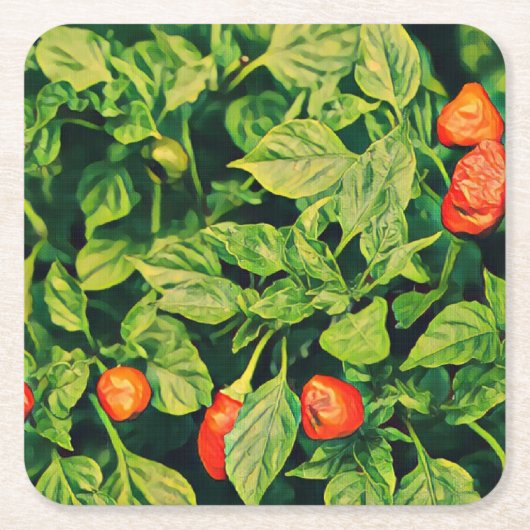 Roter Chili Paprikaschoten Square Untersetzer (Vorderseite)