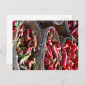 Roter Chili Postkarte (Vorne/Hinten)
