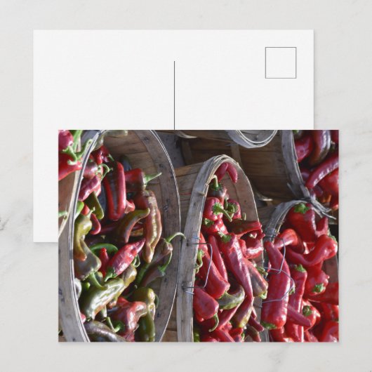 Roter Chili Postkarte (Vorne/Hinten)