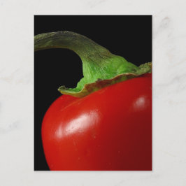 Roter Chili Postkarte