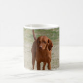 Roter Coonhound Kaffeetasse (Mittel)