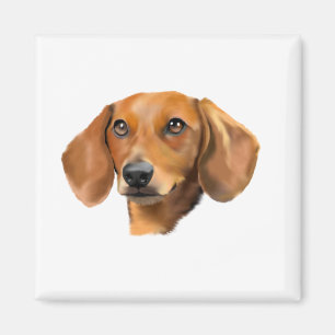 Roter Dachshund Hund Magnet