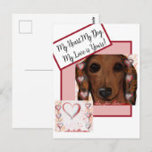 Roter Dachshund Postkarte (Vorne/Hinten)