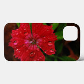 Roter Dianthus mit Regentropfen Case-Mate iPhone Hülle (Rückseite (Horizontal))