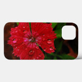Roter Dianthus mit Regentropfen Case-Mate iPhone Hülle (Rückseite (Horizontal))