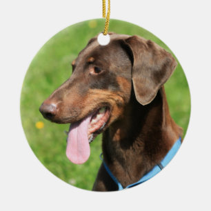 Roter Dobermann Keramik Ornament
