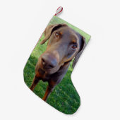 Roter Dobermann Kleiner Weihnachtsstrumpf (Vorderansicht (hängend))