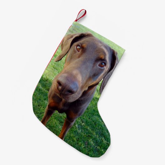 Roter Dobermann Kleiner Weihnachtsstrumpf (Vorderansicht (hängend))