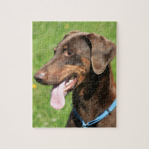 Roter Dobermann Puzzle