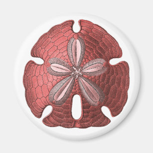 Roter Dollar Magnet