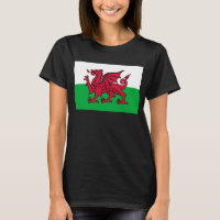 Roter Drache Keltische Flagge von Wales & Walisisc