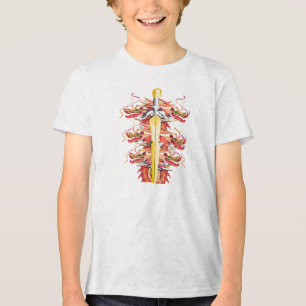 Roter Drache und goldenes Schwert Tri-Blend Shirt
