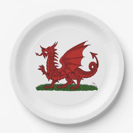 Roter Drache von Wales Pappteller (Vorderseite)