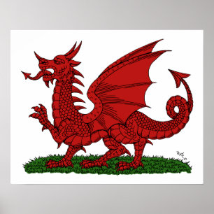 Roter Drache von Wales Poster