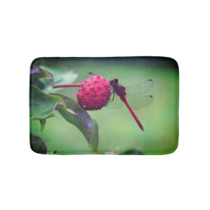 Roter Dragonfly auf Dogwood Frucht Nah Badematte