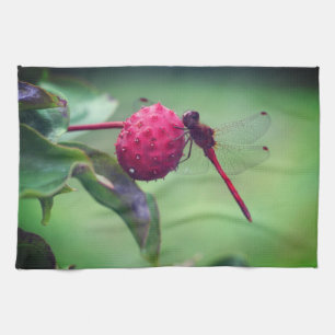 Roter Dragonfly auf Dogwood Frucht Nah Geschirrtuch