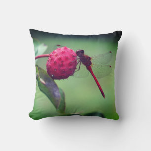 Roter Dragonfly auf Dogwood Frucht Nah Kissen