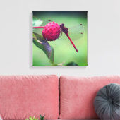 Roter Dragonfly auf Dogwood Frucht Nah Leinwanddruck (Insitu (Wohnzimmer))