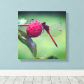 Roter Dragonfly auf Dogwood Frucht Nah Leinwanddruck (Insitu (Holzboden))