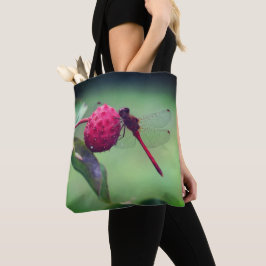 Roter Dragonfly auf Dogwood Frucht Nah Tasche