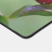 Roter Dragonfly auf Dogwood Frucht Personalisiert Schreibtischunterlage (Ecke)