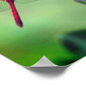 Roter Dragonfly auf Dogwood Fruchtspiegel Abstrakt Poster (Ecke)
